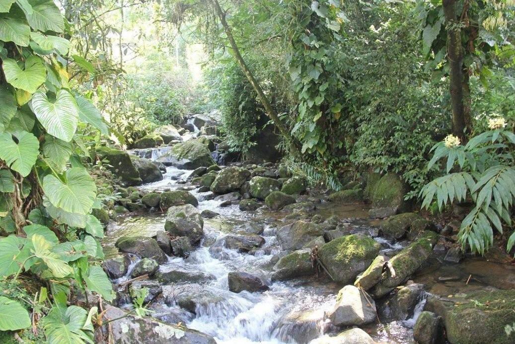 Refúgio romântico em meio à natureza Penedo  Esterno foto