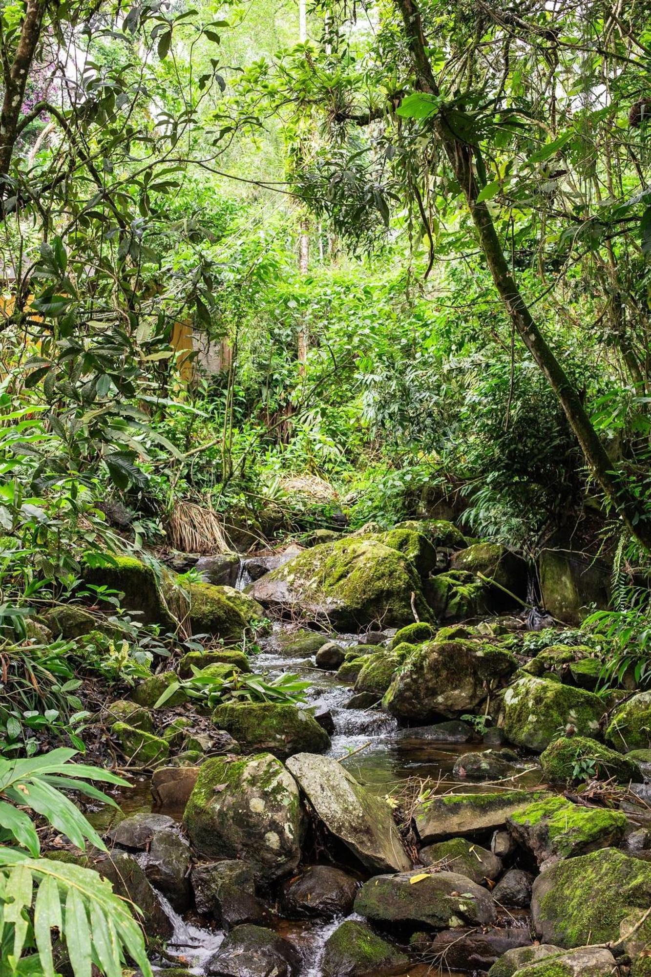 Refúgio romântico em meio à natureza Penedo  Esterno foto
