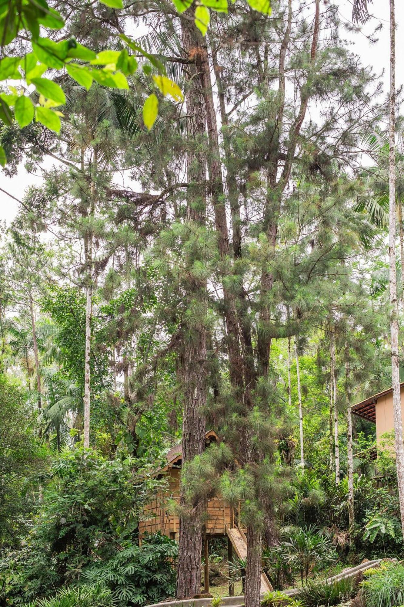Refúgio romântico em meio à natureza Penedo  Esterno foto